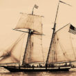 San Diego Harbor Bay Tour
