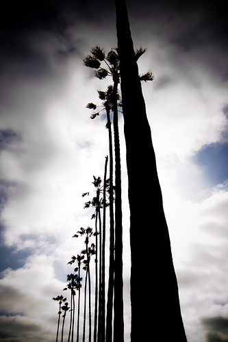 La Jolla San Diego
