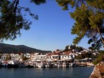 Skiathos_port.jpg