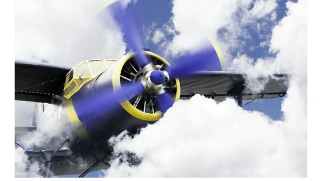 Piknik-001-2014-09-24-_-11_16_52-80